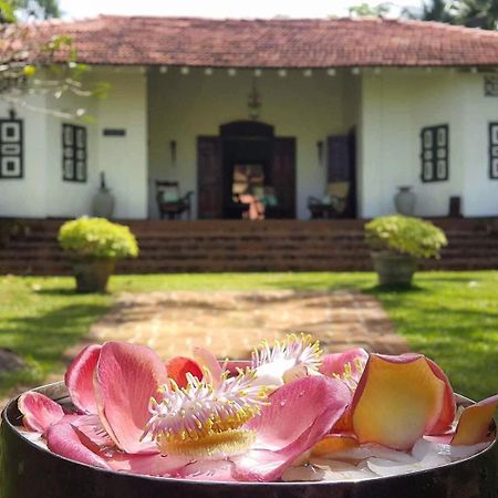 Walahanduwa Templeberg B&B 외부 사진