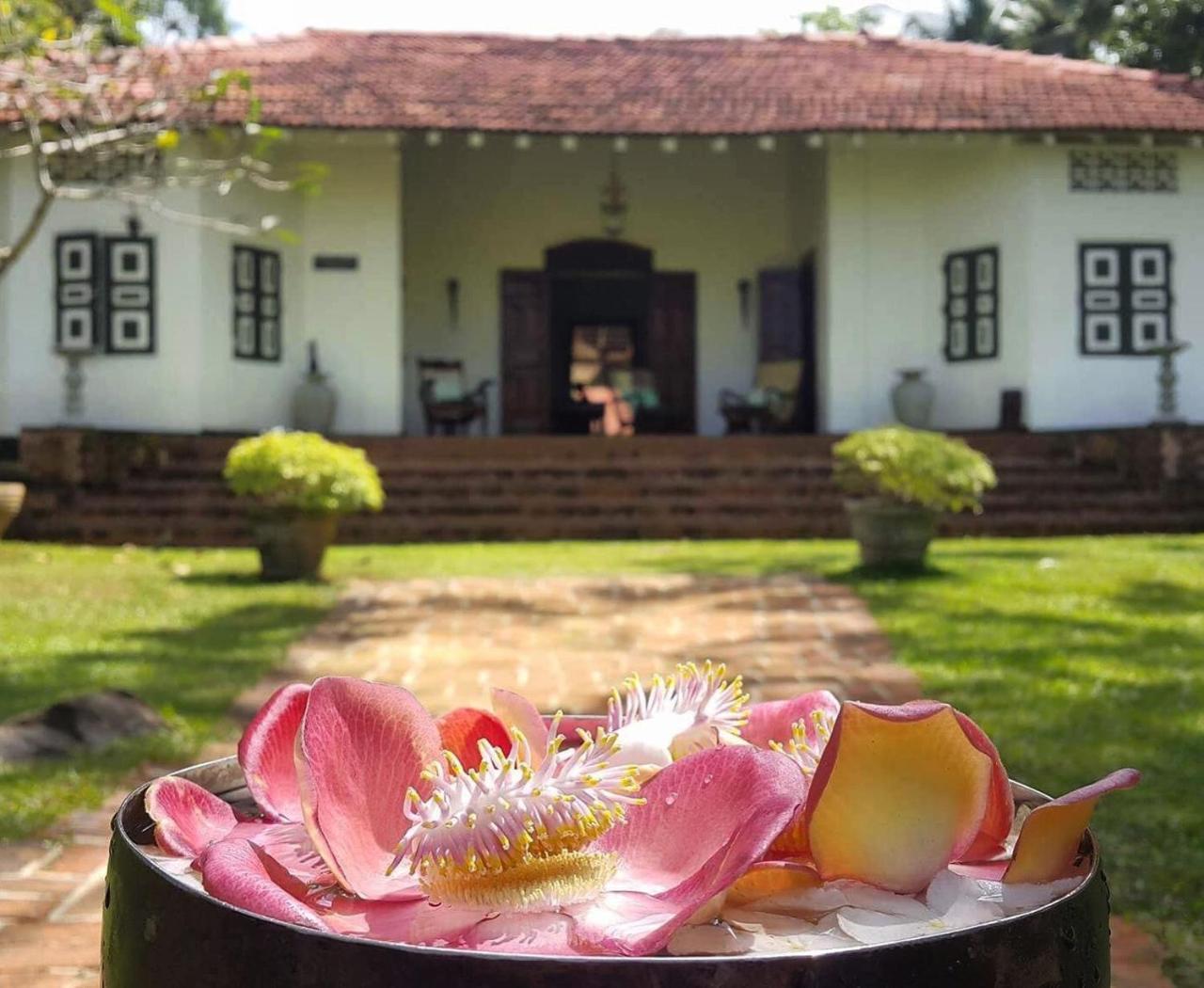 Walahanduwa Templeberg B&B 외부 사진