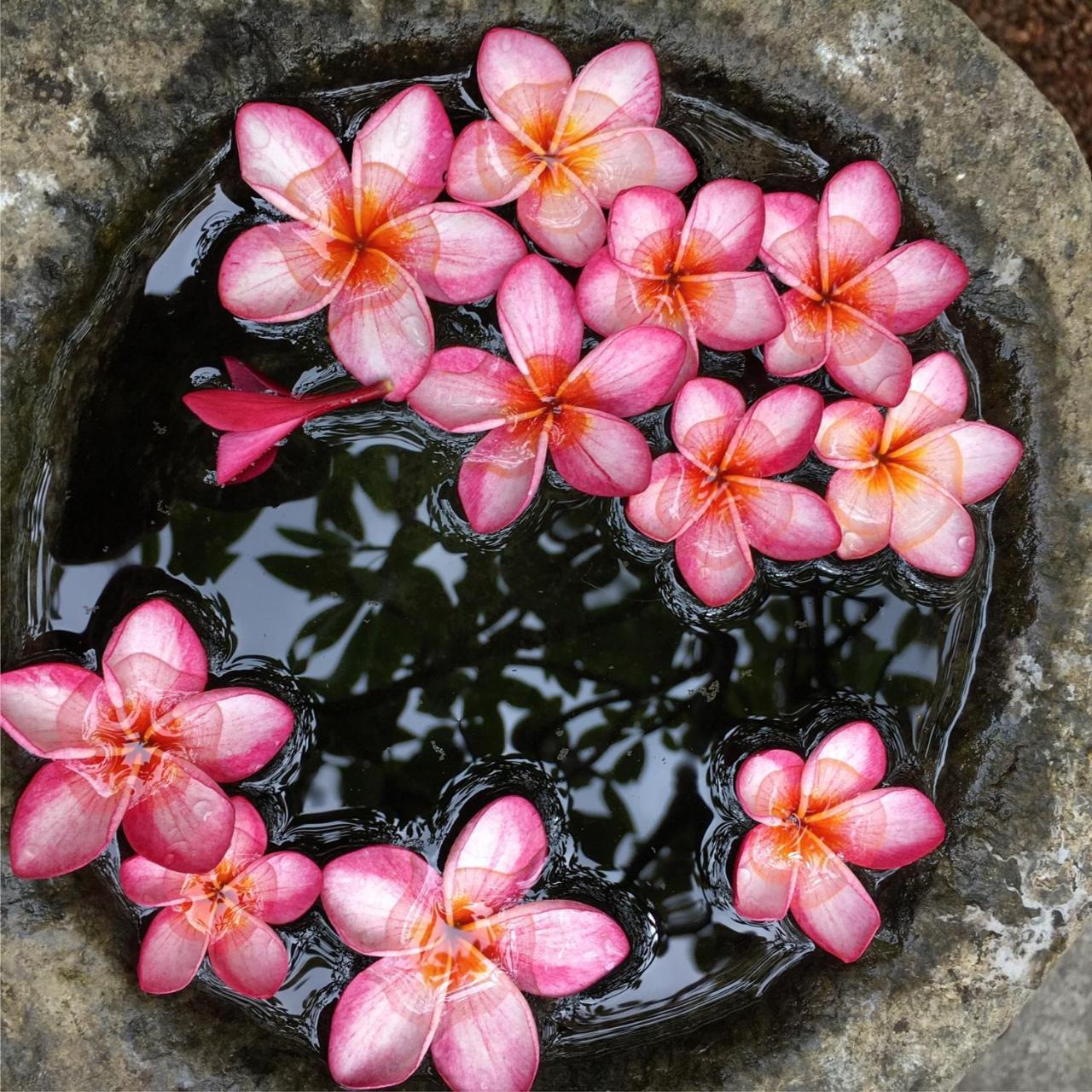 Walahanduwa Templeberg B&B 외부 사진