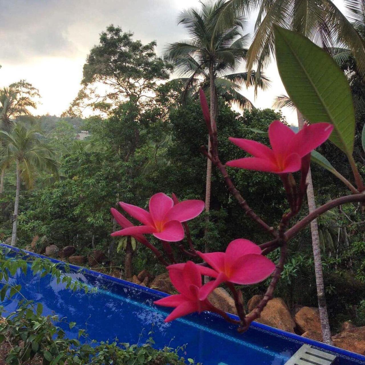 Walahanduwa Templeberg B&B 외부 사진